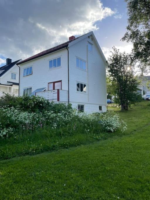 The Aurora Garden - 1Bedroom Apartment - Walking Distance From City Center Tromsø Zewnętrze zdjęcie